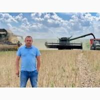 Купимо Пшеницю Самовивіз по Україні