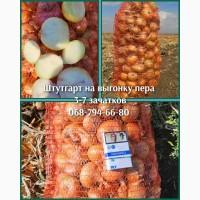 Продам мега качественеый штутгарт на перо