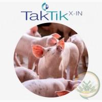 TakTik X-IN - кормова добавка для здоров’я поросят (ADM)