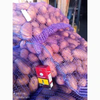 Продам картошку продовольственую