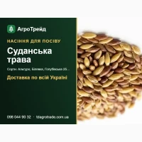 Продам насіння суданської трави - Альтуро, Білявка, Голубівська 25