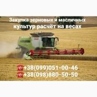 Закупка всех зерновых и масличных культур