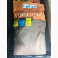 Семена подсолнечника Mirasol Seed Кастело Сирокко Гиперсол