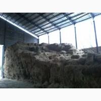 Продам сено