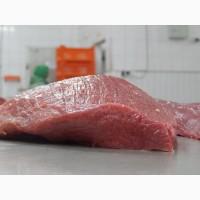 Продам свинину и говядину охлажденую от производителя с 20 тонн