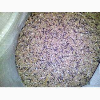 Куплю зерноотходы подсолнечника, зерноотходы рапса