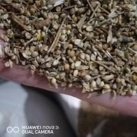 Продаємо відходи гірчиці білої, сочевиці, нуту