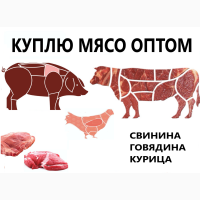 Куплю мясо птиці (частини курячі: філе, бедро, крило, гомілка, печінка); тушка. ОПТ