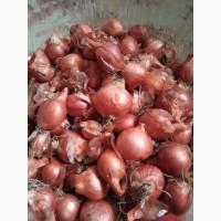 Продам кущівку