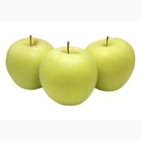 Куплю яблука на переробку