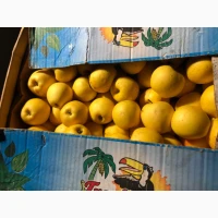 Продам яблука голден 2 сорту