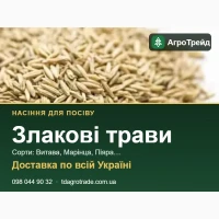 Продам насіння злакових трав - Витава, Марінца, Піяра