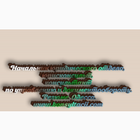Менеджер (документооборот, учёт), администратор, оператор 1С, диспетчер, помощник логиста