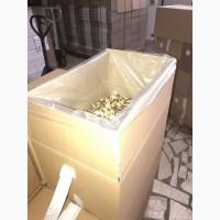 Білий гриб з Карпат (свіжий, заморожений, сушений)