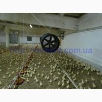 Оборудование для птичников