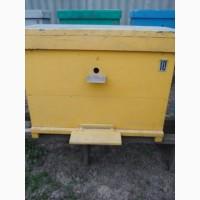 Продам 9 бджолосімей української степової породи