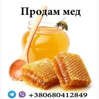 Продам мед з власної пасіки, різнотрав#039;я 2020