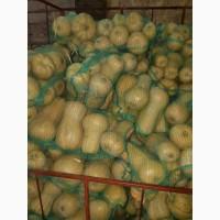 Продам тыкву
