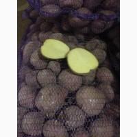 Продам картофель свежий разных сортов