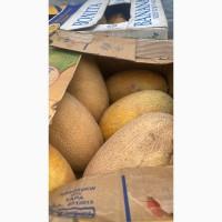 Куплю диню