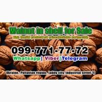 Walnut in shell for sale! Availible in any volume weight for pre-order