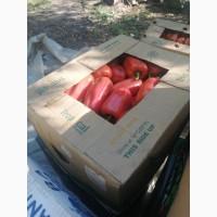 Продам перець Політ