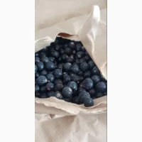 Продам смородину