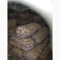 Продам товарну картоплю