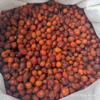 Продам шипшину сушену