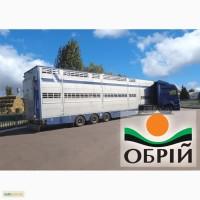 Услуги скотовоза