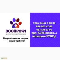 Ветеринария. Ветеринарная клиника г. Коростень. «ЗООПРОФИ», «ЗООПРОФІ» м. Коростень