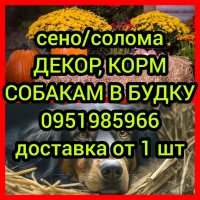 Декор Сено сіно в тюках, солома в мешках. Доставка от одной штуки, есть в наличии