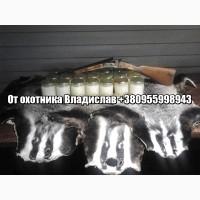 Барсучий жир