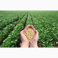 Закупаем Рапс.По всей Украине