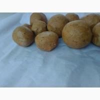 Продам прополіс