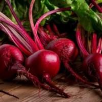 Продам свеклу столовую опт