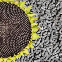 Продам: шрот подсолнечный, муку, зерновые - Украинского происхождения