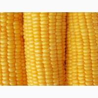 Продам: шрот подсолнечный, муку, зерновые - Украинского происхождения