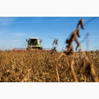 Уборка льна кукурузы подсолнечника соняшника сои Хмельницкий Белогорье Виньковцы Волочиск