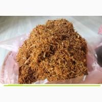 Самосад маю махорка. тютюн домашній сільський є в наявності э