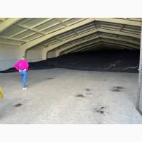 Продаємо ріпак (Миколаївська область, Вознесенськ)