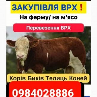 Закупівля
