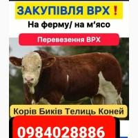 Закупівля