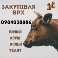 Закупівля