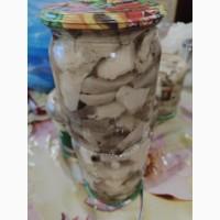 Продам трутовик лускатий, вязовик