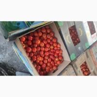 Продам помідор сливка
