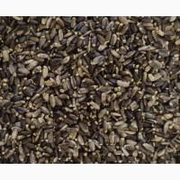 Куплю розторопшу