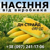 Насіння кукурудзи ДН Страйд / від виробника / ФАО 230