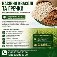 Посівмат квасолі та гречки з контрактом на викуп врожаю