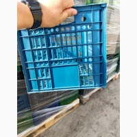 Продам ящики пластиковые